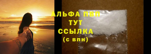 прущий лед Алзамай