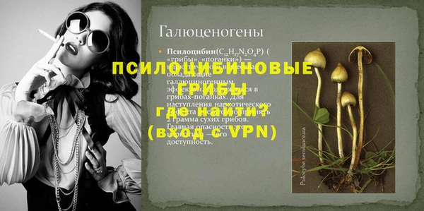 ECSTASY Алексин