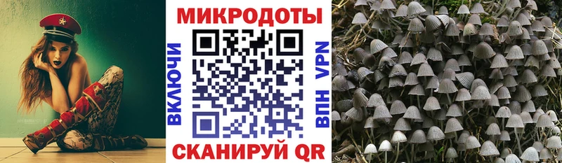 купить наркотик  МЕГА ТОР  Псилоцибиновые грибы MAGIC MUSHROOMS  Ленинск-Кузнецкий 
