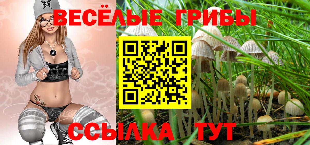 купить наркоту  Галлюциногенные грибы MAGIC MUSHROOMS  Вход с VPN  Галлюциногенные грибы Magic Shrooms  Ленинск-Кузнецкий 